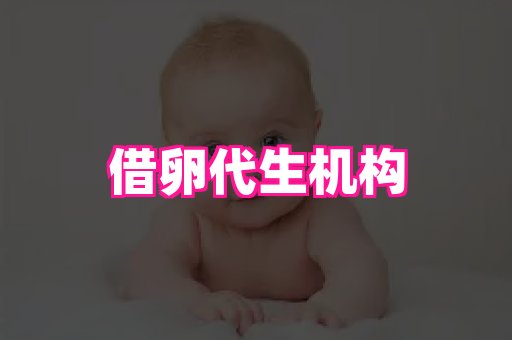 潍坊助孕网 4